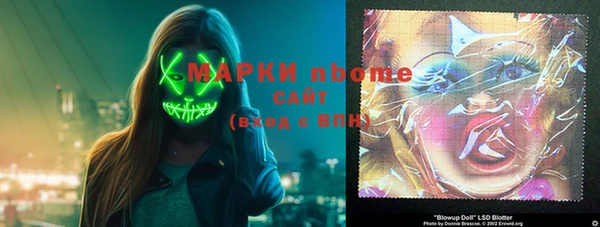 шишки Арсеньев