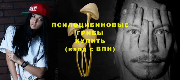 дурь Аркадак