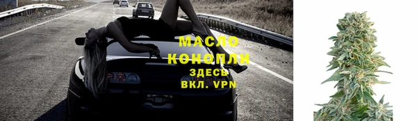 шишки Арсеньев