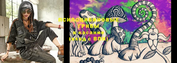 шишки Арсеньев