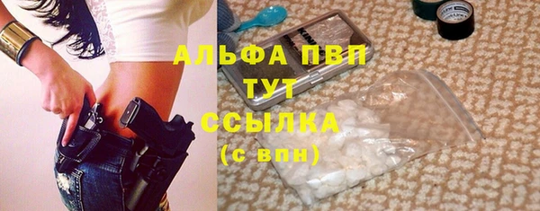 шишки Арсеньев