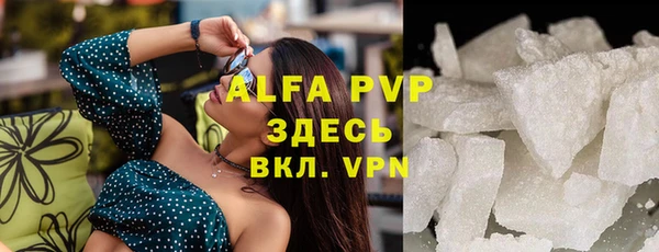 шишки Арсеньев