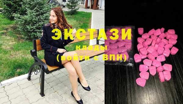 шишки Арсеньев